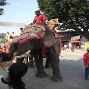 Loy Krathong Sukothai .:. ลอยกระทง ใน สุโขทัย